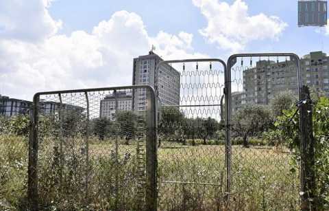 Orti all'ombra dei grattacieli: Poggiofranco, dove cemento e verde convivono in sintonia